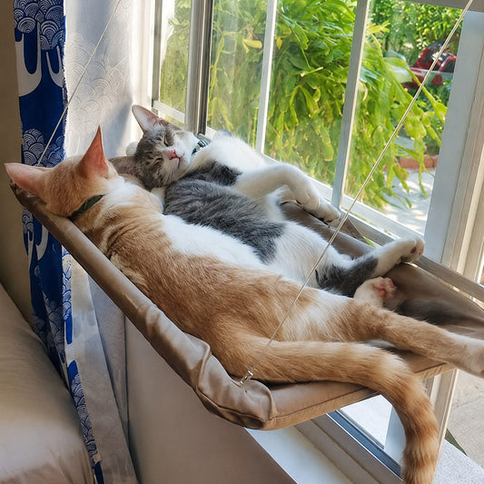 Cat Window Hammock